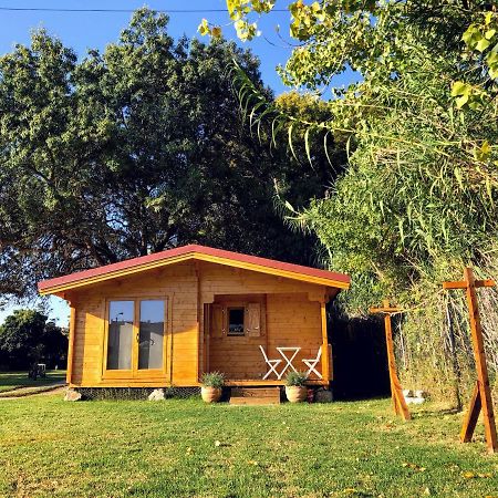 Woodhouse Villa São Pedro do Estoril Exterior foto